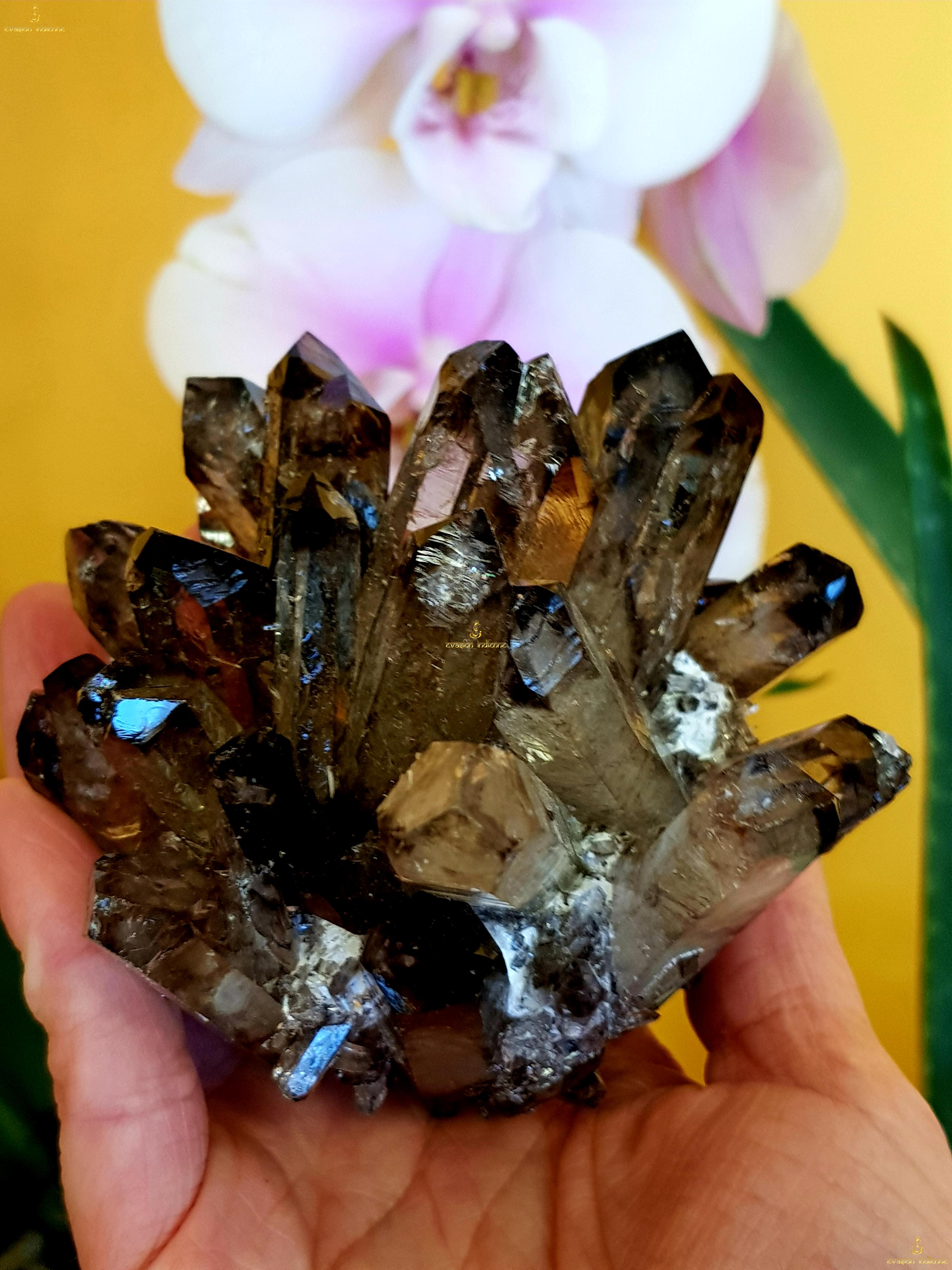 Quartz Fumé