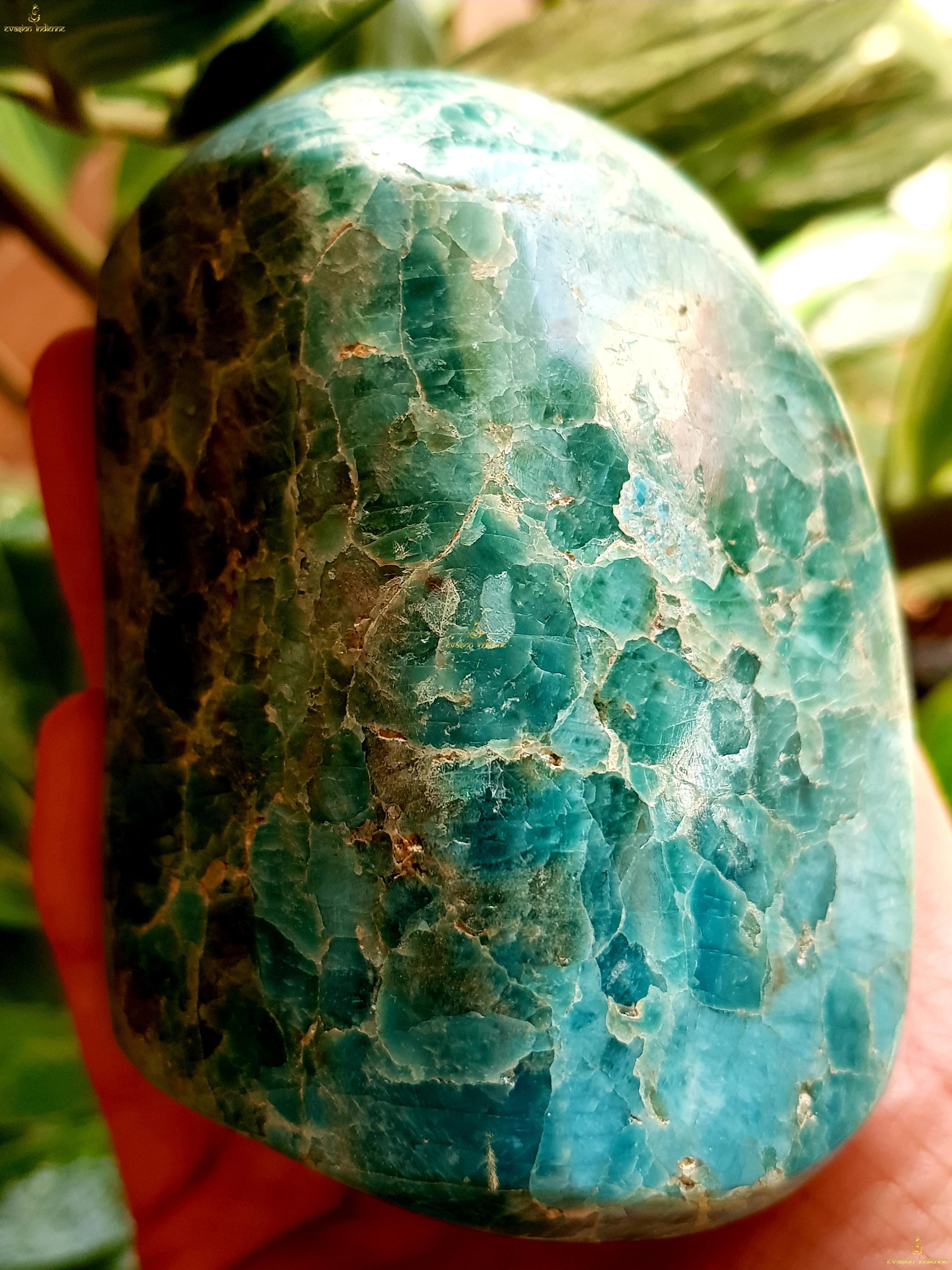 Apatite forme libre