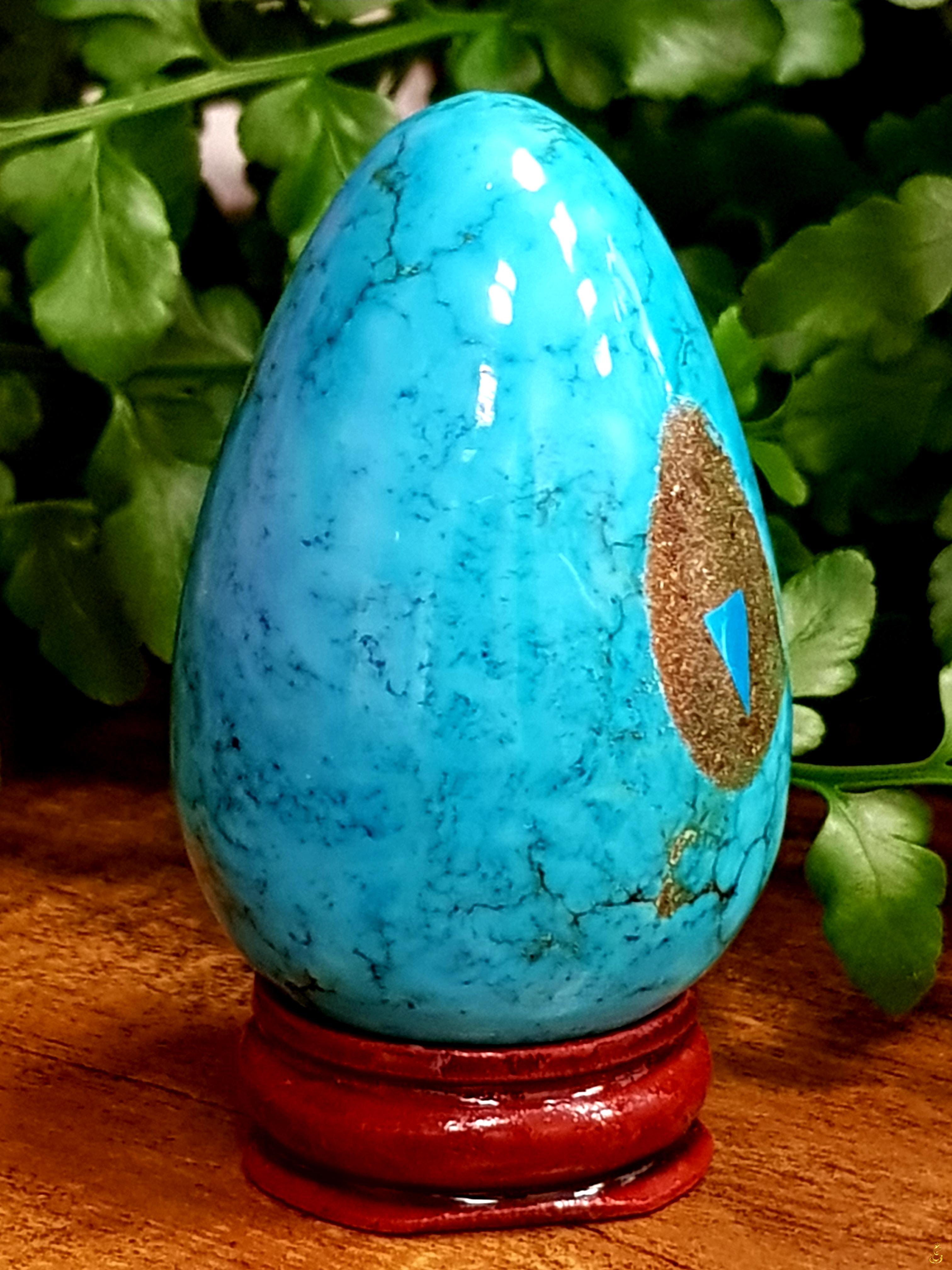 Oeuf Turquoise