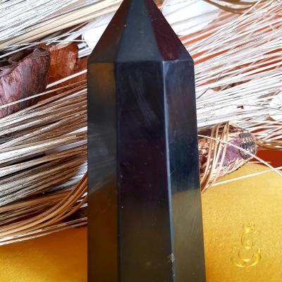 Pointe Shungite